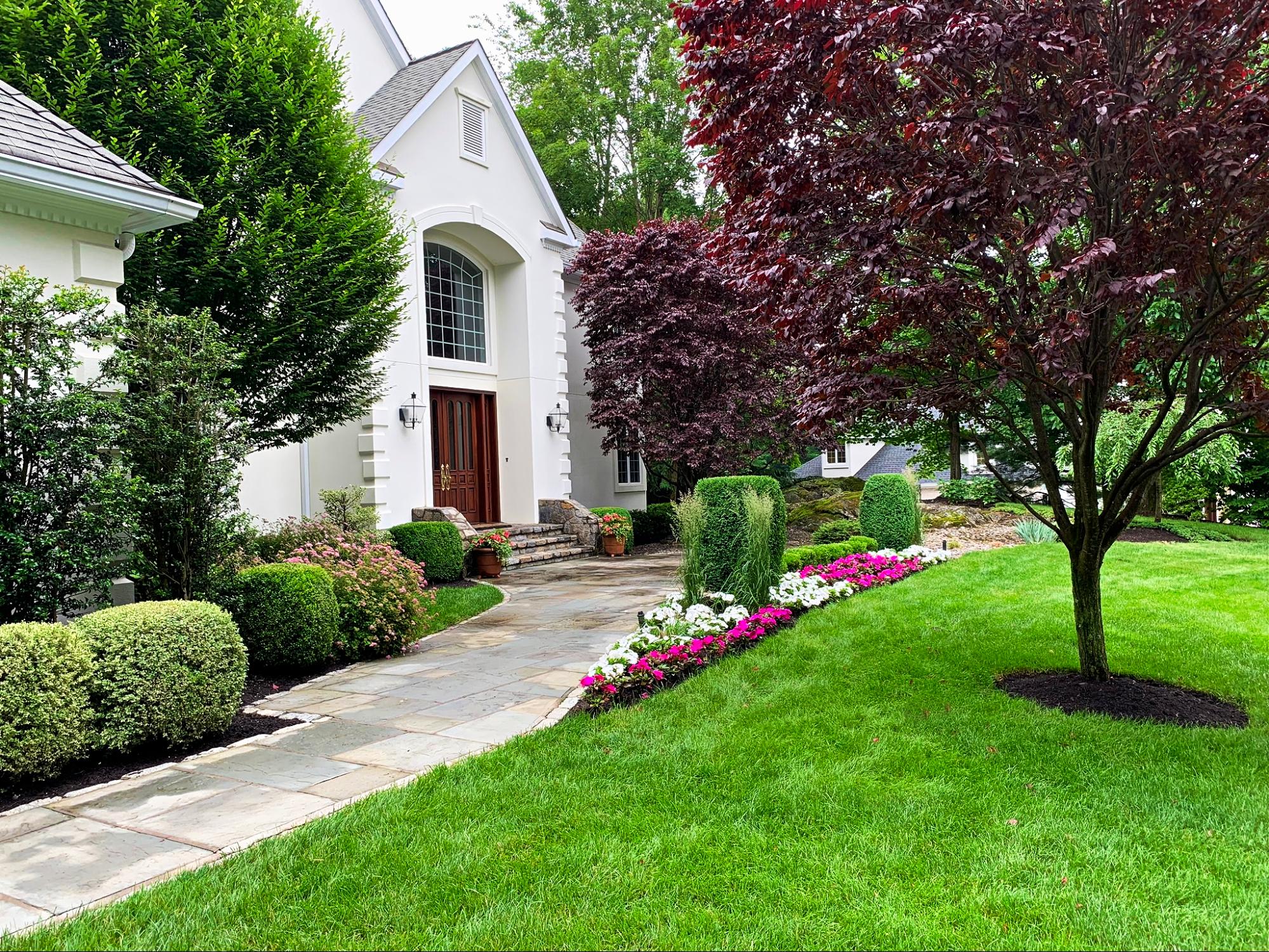 keeping lawn healthy in summer heat house with healthy lawn in summer heat