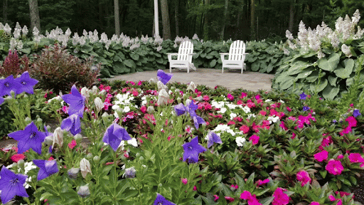 Close up view of purple pink white flowers and white patio chairs