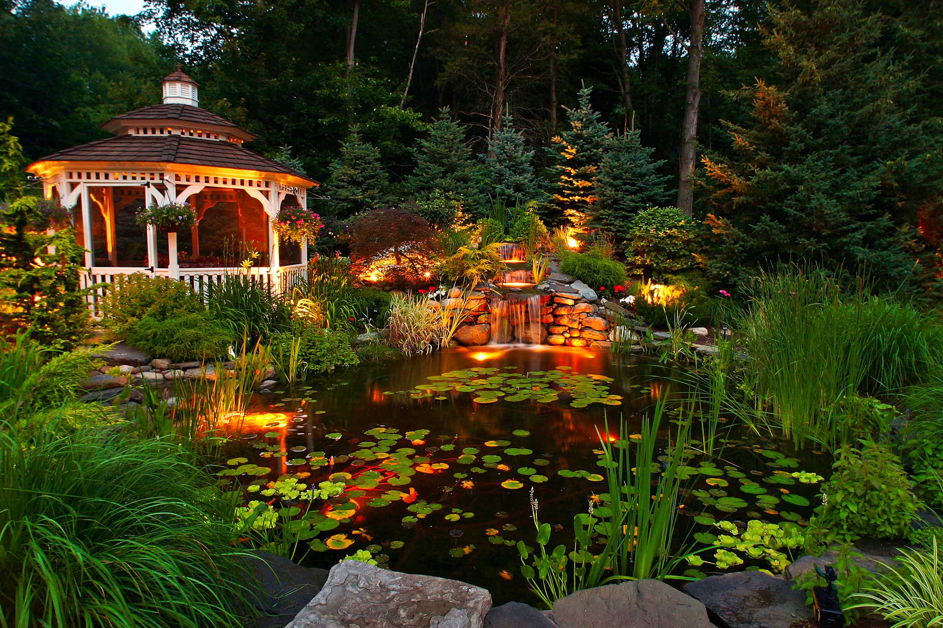 Custom Fish and Koi Ponds built by Neave Group