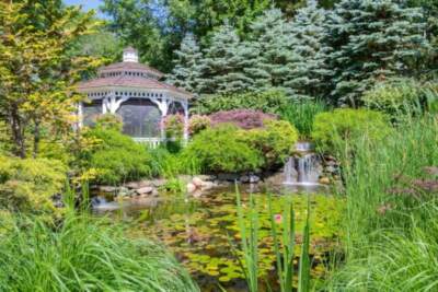Landscape services in Greenwich CT for turf and plants