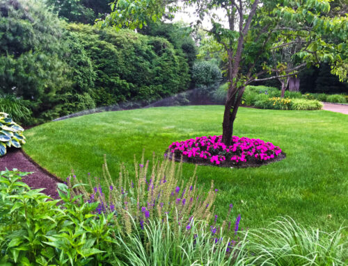 Problematic Plants To Avoid Planting in The Hudson Valley