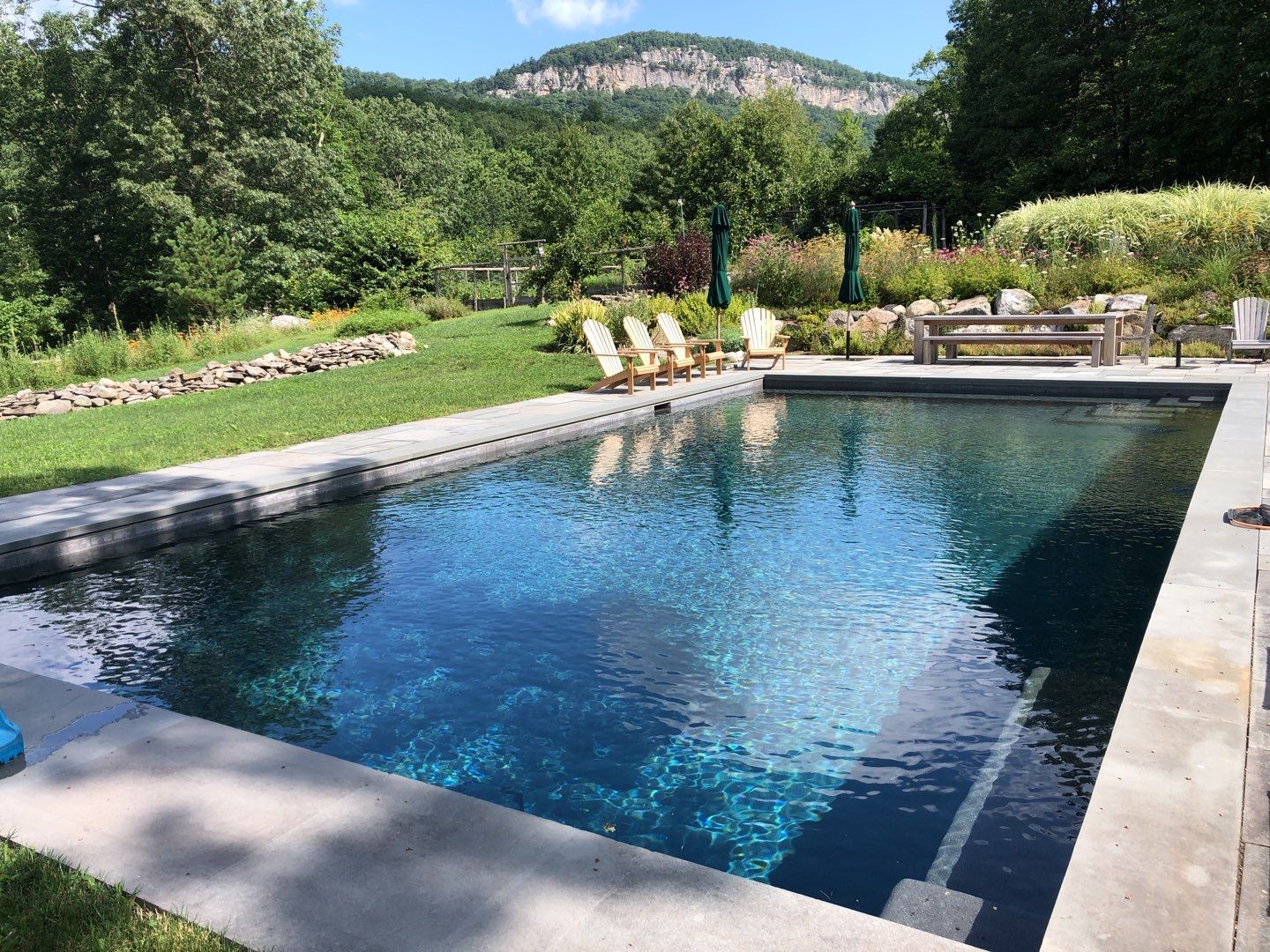 gunite pool a stunning gunite pool created by Neave Group showing the difference between gunite vs vinyl pools